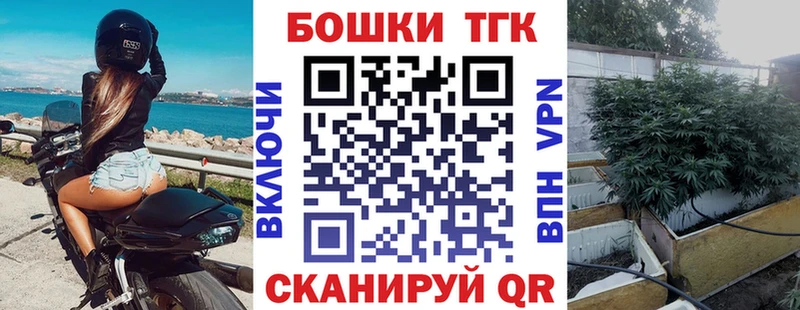 Шишки марихуана OG Kush  Сураж 